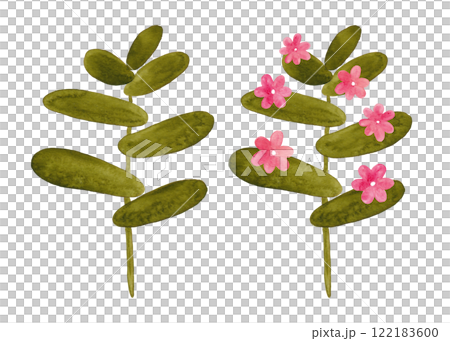 Watercolor plants. Green flowering tropical plants. Succulents in the desert. Summer and flowering plants. Cartoon style illustration 122183600