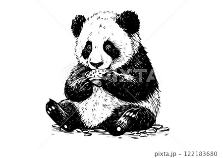 Panda hand drawn ink sketch. Engraved style vector illustration. 122183680