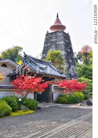 妙満寺の紅葉と仏舎利大塔 妙満寺の紅葉と仏舎利大塔 122183689