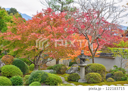 妙満寺の紅葉 妙満寺の紅葉 122183715
