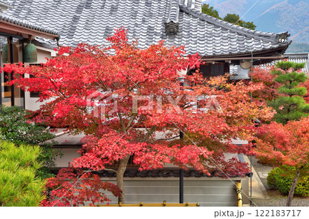 妙満寺の紅葉 妙満寺の紅葉 122183717