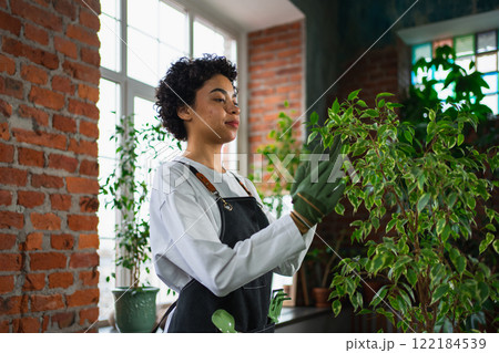 Running of own business. African woman florist wearing apron taking care of plants in botanical store. Happy small business owner working at flower shop smiling surrounded by plants Small business 122184539