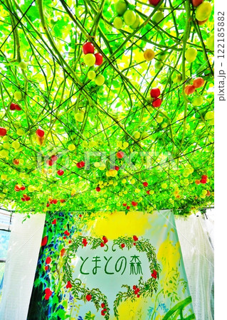 えこりん村 とまとの森 (北海道恵庭市) えこりん村 とまとの森 (北海道恵庭市) 122185882