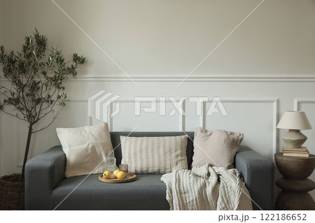 Modern living room interior design. Mediterranean or scandinavian style. Grey sofa, beige pillows. Glass, carafe of water, fresh lemon fruit. Side table with lamp and olive tree. Empty beige wall Modern living room interior design. Mediterranean or scandinavian style. Grey sofa, beige pillows. Glass, carafe of water, fresh lemon fruit. Side table with lamp and olive tree. Empty beige wall 122186652