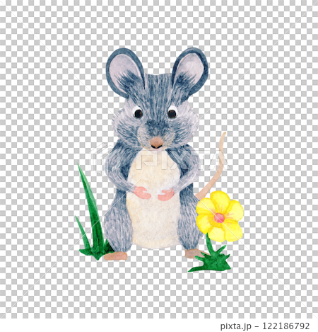 Watercolor composition of mouse character and grass with flower. Botanical drawing on isolated background. For your design Watercolor composition of mouse character and grass with flower. Botanical drawing on isolated background. For your design 122186792