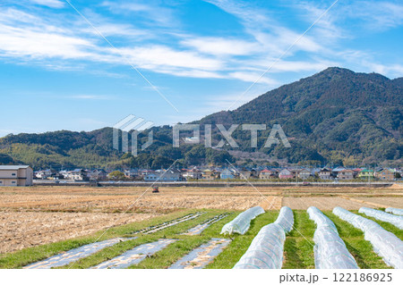 畑から眺める山の景色 122186925