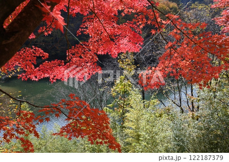 もみじ湖 122187379