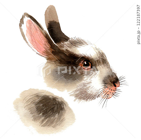 Cute bunny. Watercolour painting Cute bunny. Watercolour painting 122187397