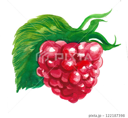 Raspberry berry. Watercolour painting Raspberry berry. Watercolour painting 122187398