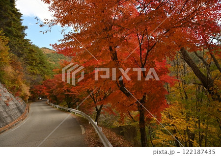 もみじ湖 もみじ湖 122187435