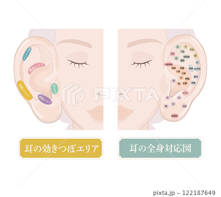 耳つぼの位置・耳にある効きツボ・耳つぼ全身対応表 耳つぼの位置・耳にある効きツボ・耳つぼ全身対応表 122187649