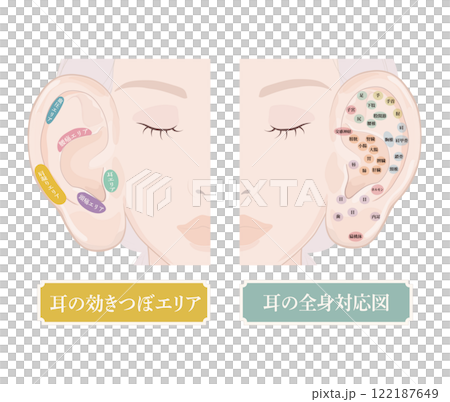 耳つぼの位置・耳にある効きツボ・耳つぼ全身対応表 耳つぼの位置・耳にある効きツボ・耳つぼ全身対応表 122187649