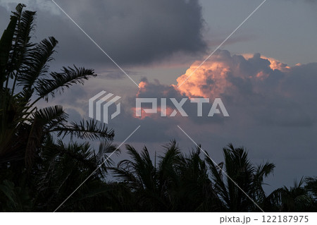 ヤシの木と空 南国の風景 ヤシの木と空 南国の風景 122187975