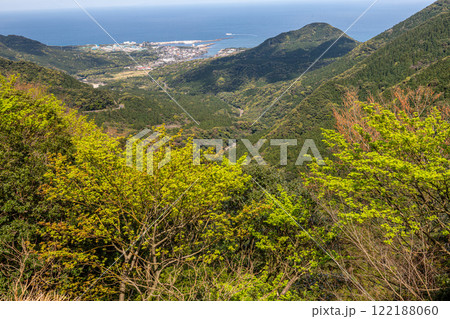 新緑若葉　神が宿る島　洋上アルプス屋久島 122188060