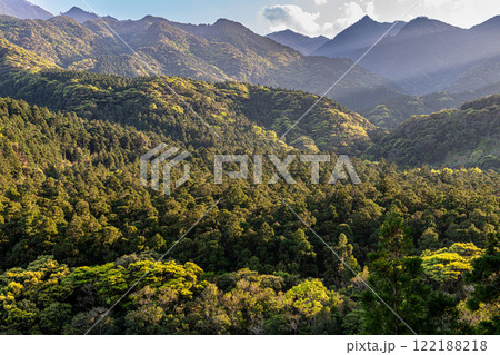 屋久島洋上アルプスの春(3月)斜光に映える木々の新緑と杉山 122188218