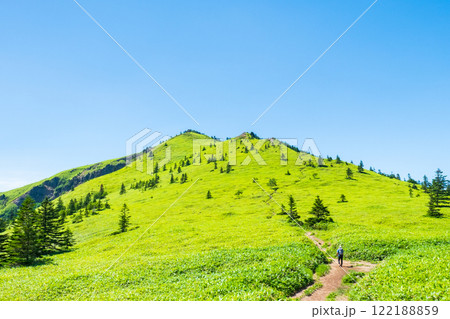 夏の四阿山・根子岳登山（四阿山～根子岳） 122188859