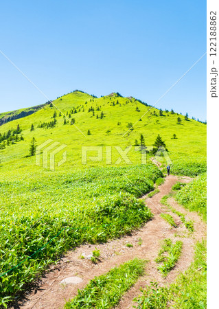 夏の四阿山・根子岳登山(四阿山~根子岳) 夏の四阿山・根子岳登山(四阿山~根子岳) 122188862
