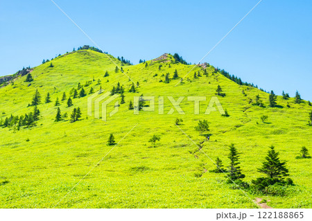 夏の四阿山・根子岳登山（四阿山～根子岳） 122188865