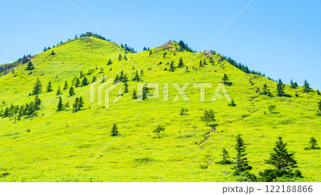 夏の四阿山・根子岳登山（四阿山～根子岳） 122188866