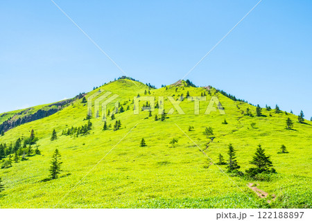 夏の四阿山・根子岳登山(四阿山~根子岳) 夏の四阿山・根子岳登山(四阿山~根子岳) 122188897