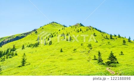 夏の四阿山・根子岳登山（四阿山～根子岳） 122188898