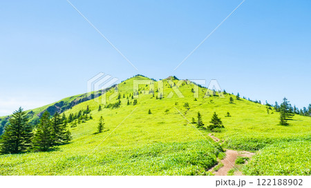夏の四阿山・根子岳登山（四阿山～根子岳） 122188902
