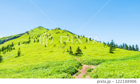夏の四阿山・根子岳登山（四阿山～根子岳） 122188906