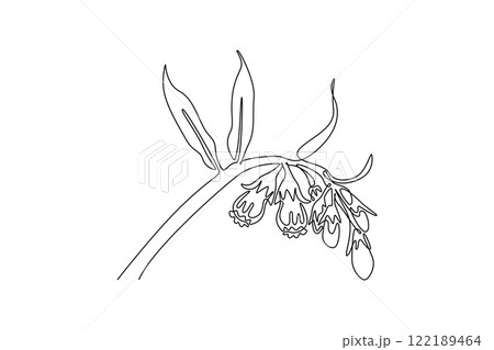 Single continuous line drawing beauty fresh symphytum for garden logo. Decorative comfrey flower concept for home decor wall art poster print. Dynamic one line draw graphic design vector illustration Single continuous line drawing beauty fresh symphytum for garden logo. Decorative comfrey flower concept for home decor wall art poster print. Dynamic one line draw graphic design vector illustration 122189464