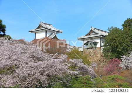 【石川県】晴天の金沢城 石川門と満開の桜 122189885