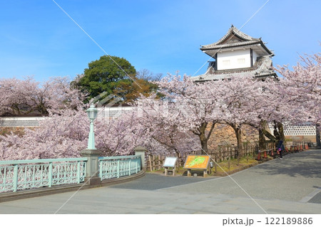 【石川県】晴天の金沢城 石川門と満開の桜 【石川県】晴天の金沢城 石川門と満開の桜 122189886