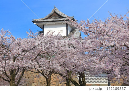 【石川県】晴天の金沢城 石川門と満開の桜 【石川県】晴天の金沢城 石川門と満開の桜 122189887