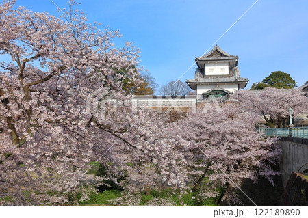 【石川県】晴天の金沢城 石川門と満開の桜 【石川県】晴天の金沢城 石川門と満開の桜 122189890