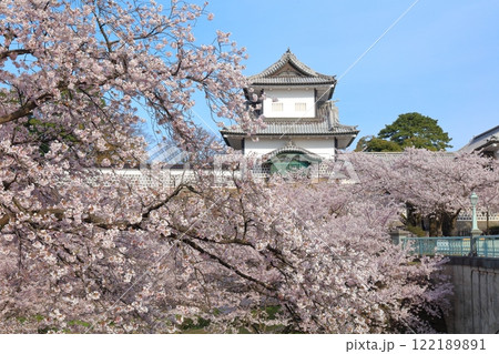 【石川県】晴天の金沢城 石川門と満開の桜 【石川県】晴天の金沢城 石川門と満開の桜 122189891