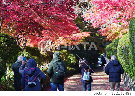 世界遺産高野山の素晴らしい情景　蛇腹道 122192485