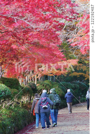 世界遺産高野山の素晴らしい情景　蛇腹道 122192487