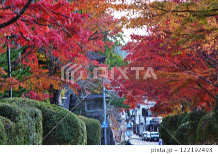 世界遺産高野山の素晴らしい情景 蛇腹道 世界遺産高野山の素晴らしい情景 蛇腹道 122192493