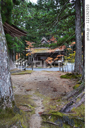 世界遺産高野山の素晴らしい情景　山王院 122192503