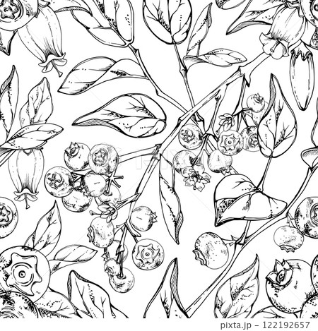 Blackberry blueberry with white bell flowers, plant leaves, hand drawn in ink vector, forest berry bunch on branches. Seamless pattern isolated illustration for dessert menu, wedding, farmers market. 122192657
