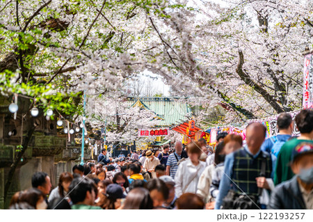 【東京都】上野恩賜公園に咲く満開の桜 122193257