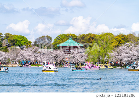 【東京都】上野恩賜公園の不忍池に咲く満開の桜 122193286