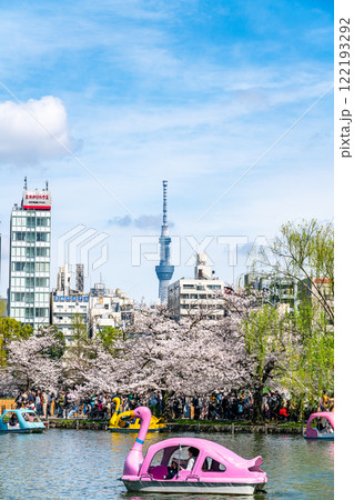 【東京都】上野恩賜公園の不忍池に咲く満開の桜と東京スカイツリー 122193292