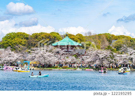 【東京都】上野恩賜公園の不忍池に咲く満開の桜 122193295