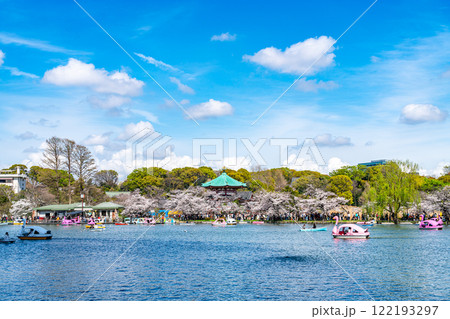 【東京都】上野恩賜公園の不忍池に咲く満開の桜 122193297