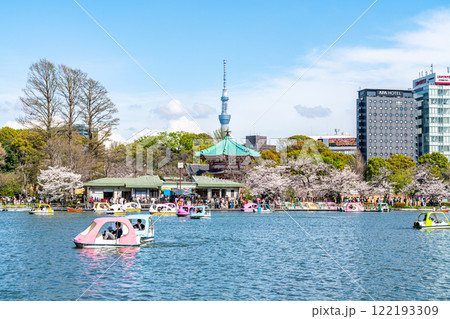 【東京都】上野恩賜公園の不忍池に咲く満開の桜と東京スカイツリー 【東京都】上野恩賜公園の不忍池に咲く満開の桜と東京スカイツリー 122193309