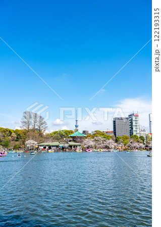 【東京都】上野恩賜公園の不忍池に咲く満開の桜と東京スカイツリー 【東京都】上野恩賜公園の不忍池に咲く満開の桜と東京スカイツリー 122193315
