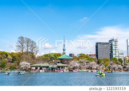 【東京都】上野恩賜公園の不忍池に咲く満開の桜と東京スカイツリー 122193319