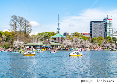 【東京都】上野恩賜公園の不忍池に咲く満開の桜と東京スカイツリー 【東京都】上野恩賜公園の不忍池に咲く満開の桜と東京スカイツリー 122193323