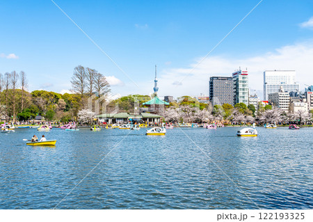 【東京都】上野恩賜公園の不忍池に咲く満開の桜と東京スカイツリー 122193325