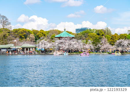 【東京都】上野恩賜公園の不忍池に咲く満開の桜 122193329