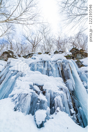 「青森県」奥入瀬渓流氷瀑の自然美　冬 122193546